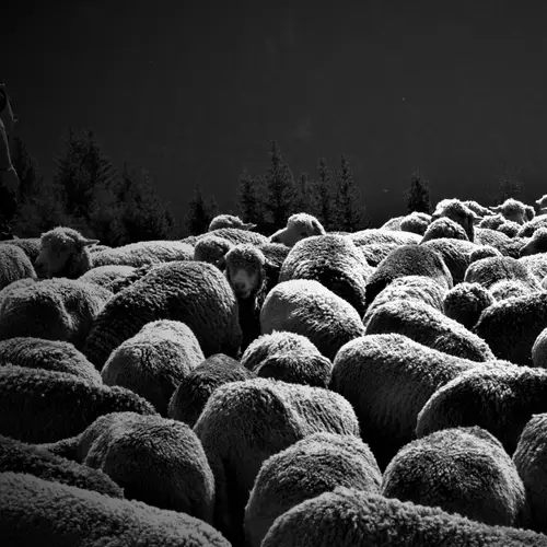 Zwischen Seedphrase und Relays image