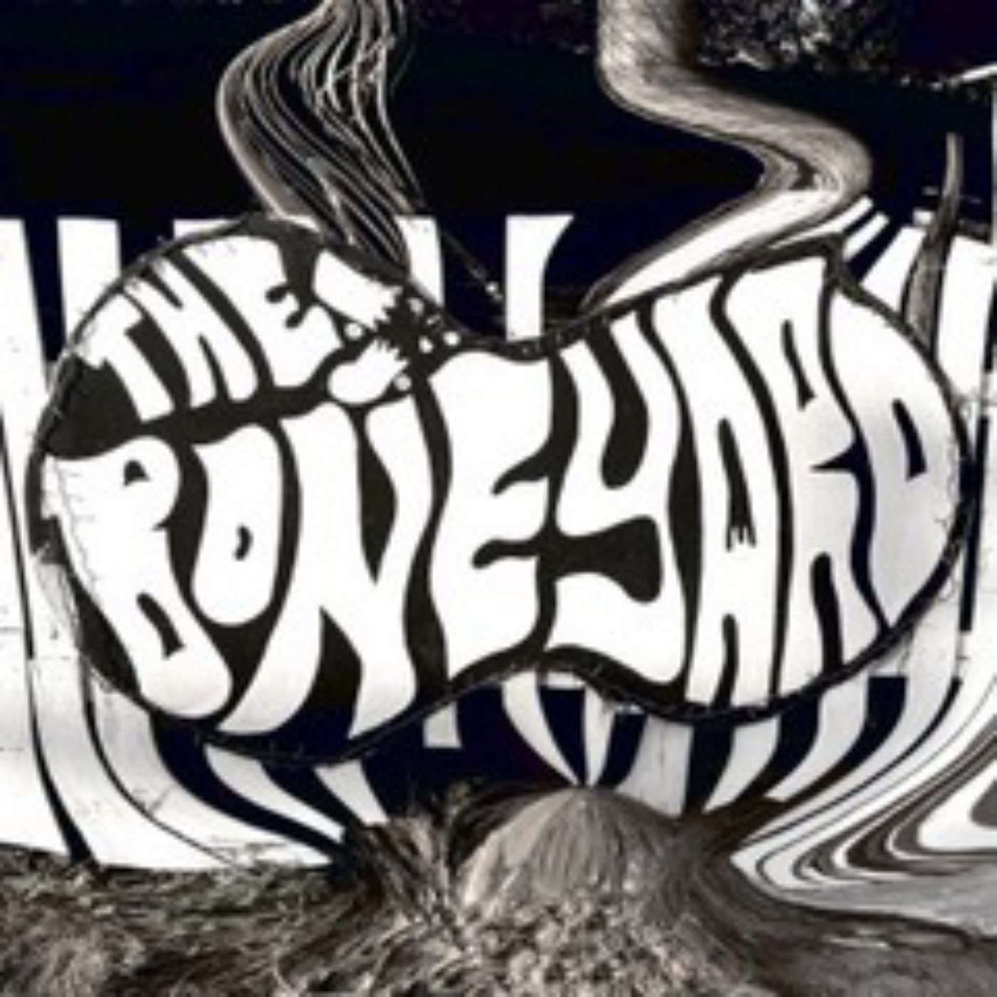 Pelvis Escondido - Party at the Boneyard image