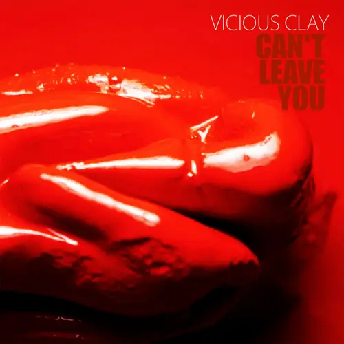 Can't Leave You image