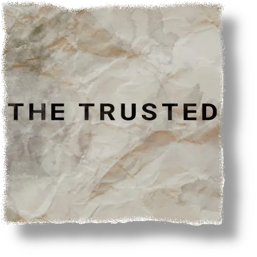 The Trusted - Self Destruct image