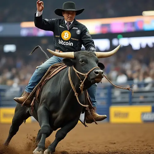 Orange Pilled Cowboys image