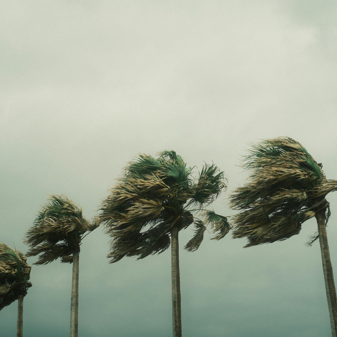 When I Called Your Name image