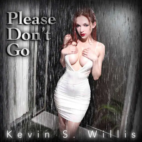 Please Don't Go image