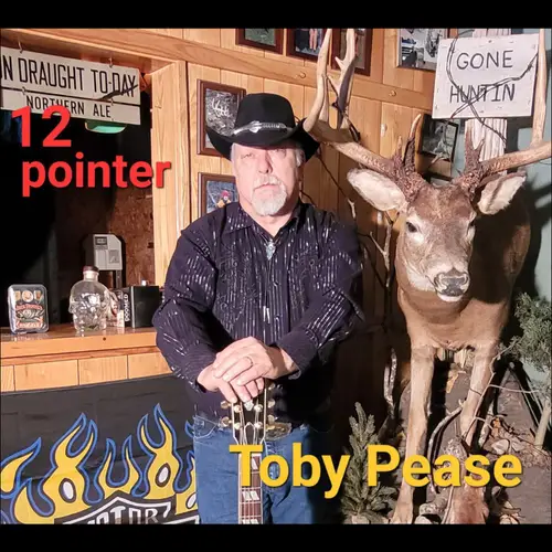 Toby Pease - Songs image
