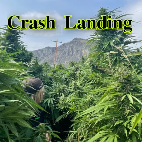 Stoned image