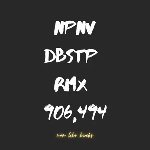 NPNV DBSTP RMX 906,464 image