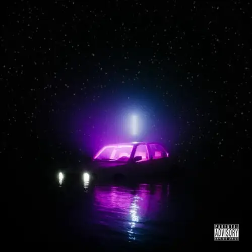 Thank God I Survived image