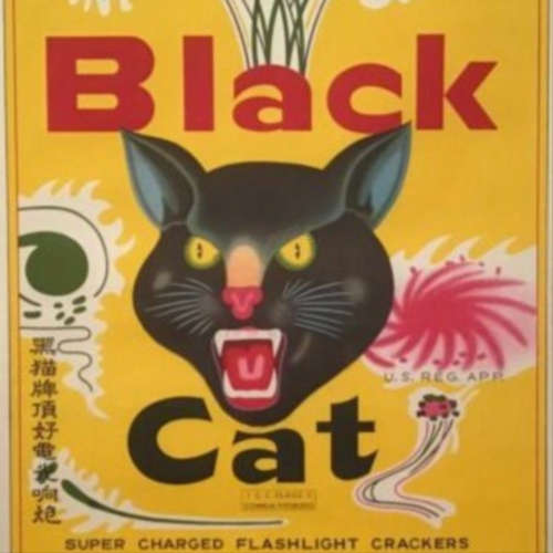 Black Cat image