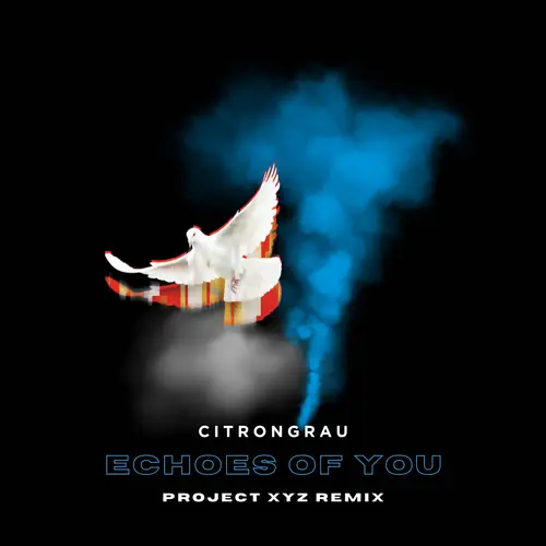 echoes of you (Project XYZ Remix) image
