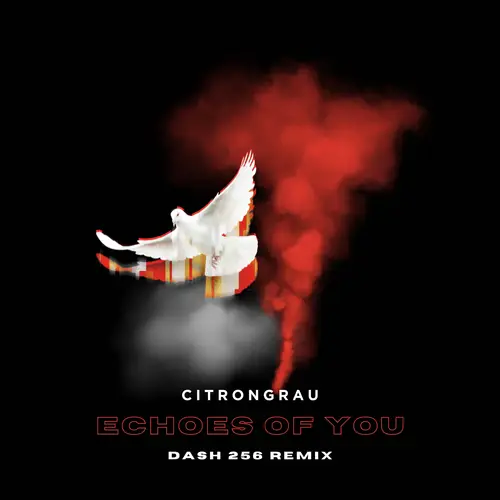 echoes of you (DASH 256 Remix) image
