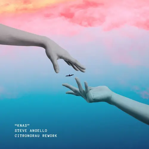 Steve Angello - KNAS (citrongrau ReWork) image