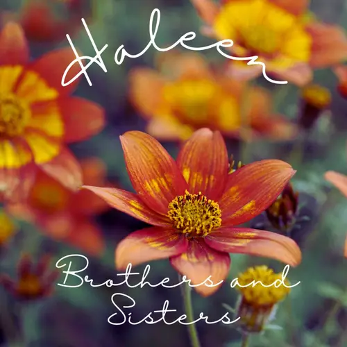 Brothers and Sisters image