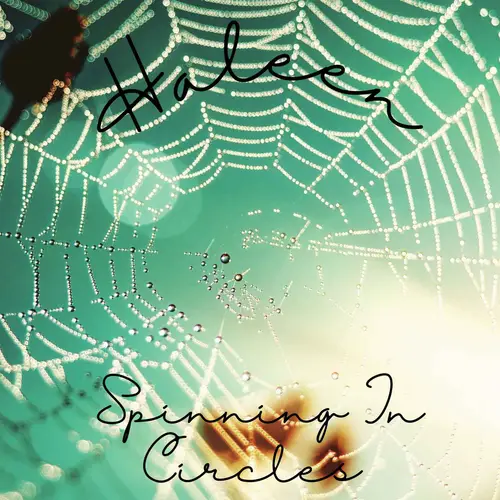 Spinning In Circles image