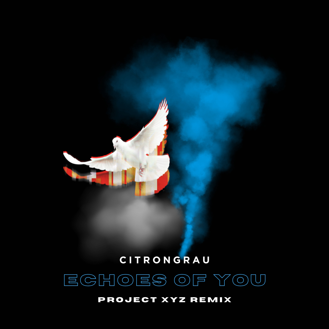 echoes of you (Project XYZ Remix) image