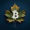 Maple Bitcoin