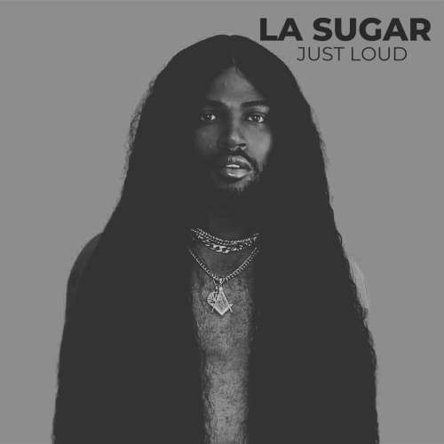 LA Sugar image