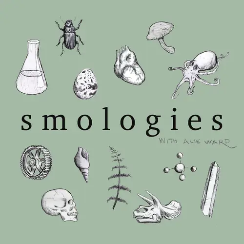 Smologies #39: ANCIENT ROME with Darius Arya image