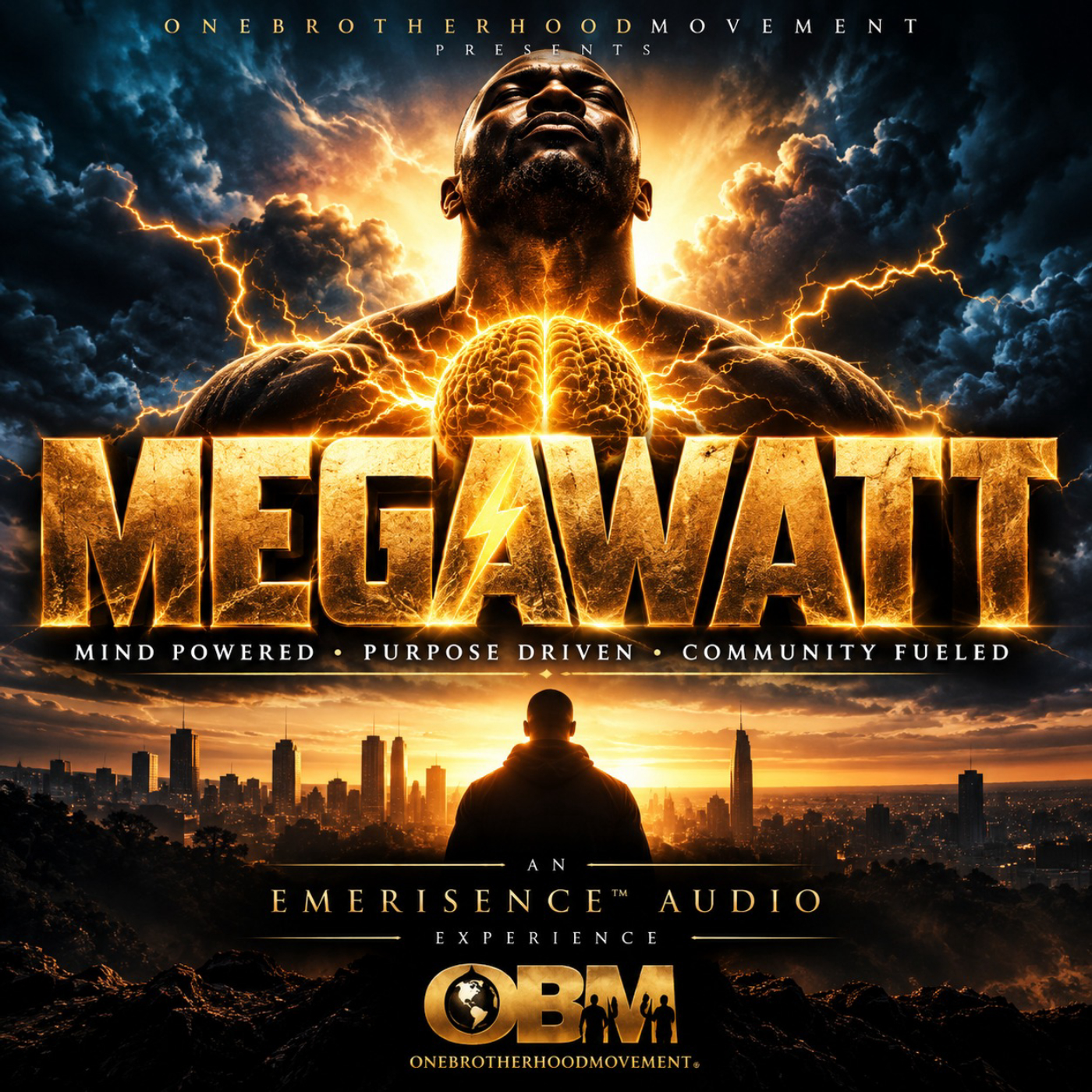 MegaWatt image