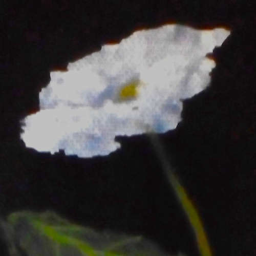 KLAUS THE LOUT image