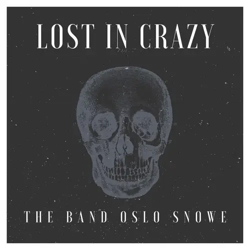Lost In Crazy image