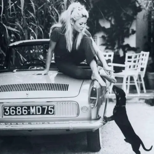 Salt your wounds image