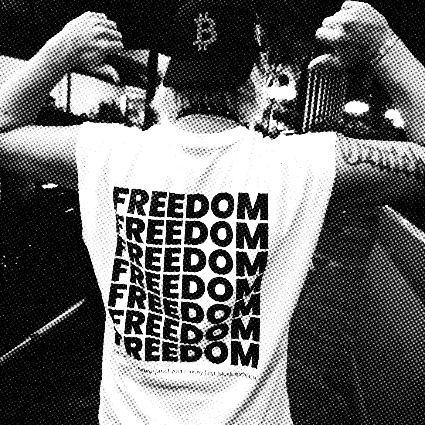 FREEDOM image