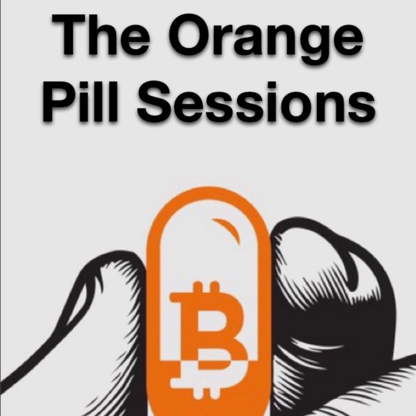 The Orange Pill Sessions image