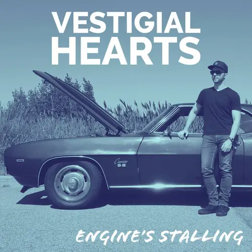 Engine's Stalling image